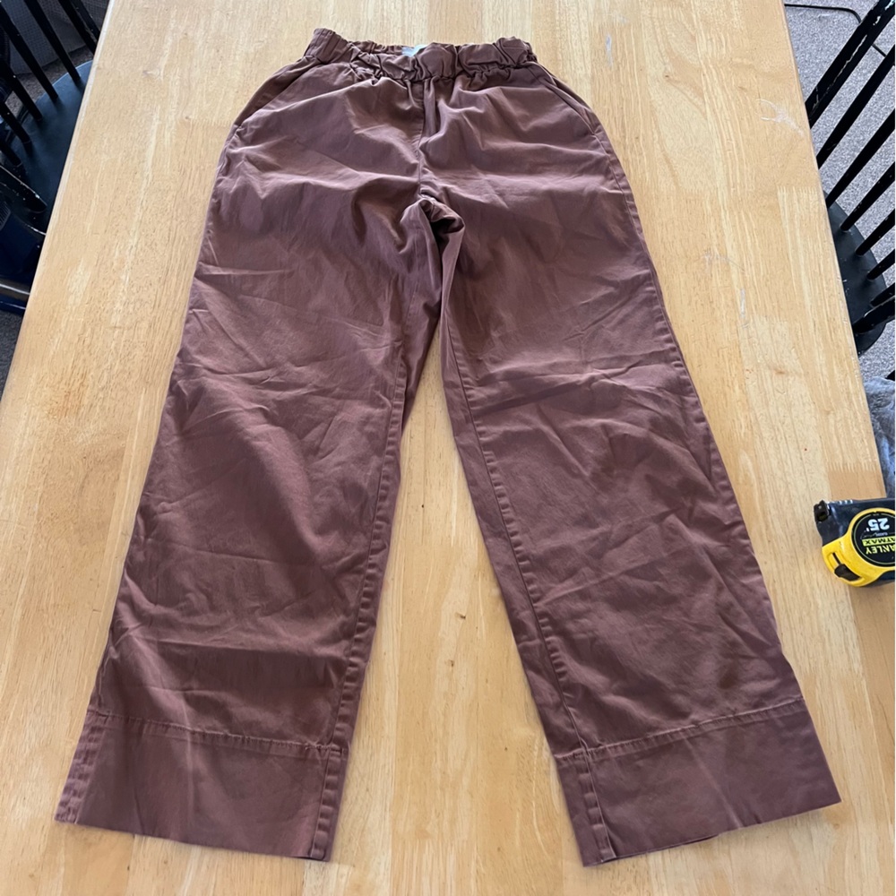 Everlane Rust-Brown Elastic Waist Pants